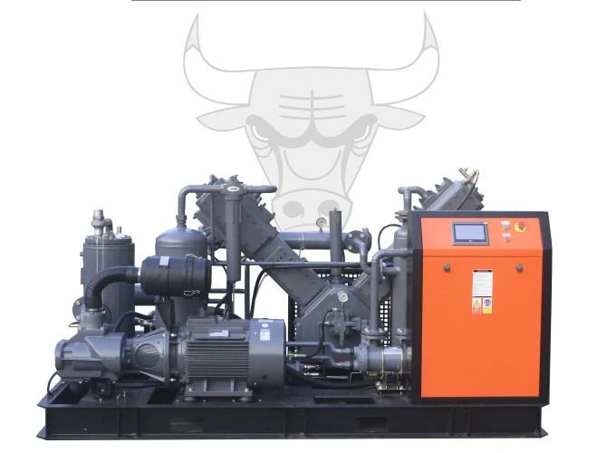 High Pressure Oil Free Compressors